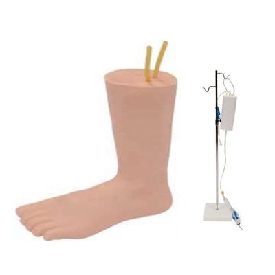 Effektives Fußmodell für den Unterricht der intravenösen Venipuncture in der klinischen Krankenpflege