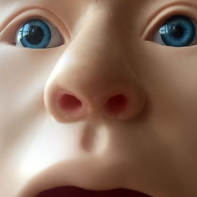 Transparentes Modell für Magenspülung, Nasen- und Futterrohr-Simulator für die Pflege-Ausbildung