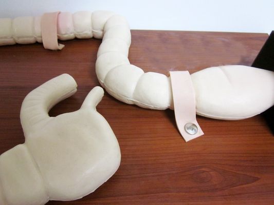 Mannequin für die Sigmoidoskop-Prüfung Training Advanced Darmmodell Simulator