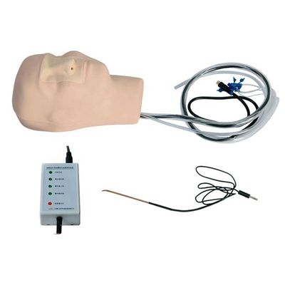 Nasenblutungs-Simulator für eine effektive Pflegebildung Epistaxis Hämostase Modell