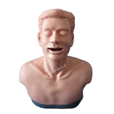 Schilddrüsenuntersuchungs-Ausbildungsmodell für die anatomische Lehre und Funktionsdemonstration