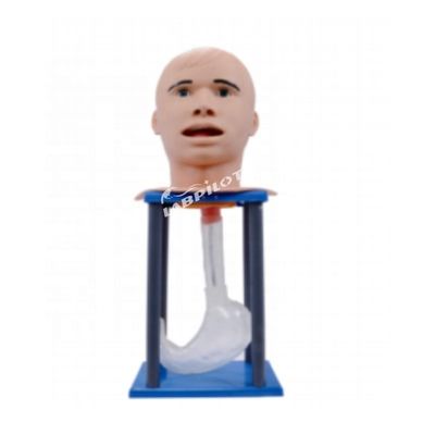 Erwachsene Magenspülung Mannequin Einfügen von Nasenfütterungsschläuche Säuglingspuppe