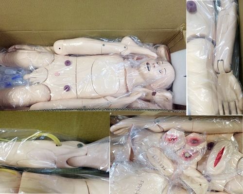 Vollfunktionale Erwachsene Krankenschwester-Puppe mit Blutdruck-Simulator Medizinische Ausbildung Puppe