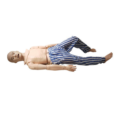 Medizinische Wissenschaft Ausbildung Mannequin Advanced PVC Nasogastric Tube Pflege Simulator