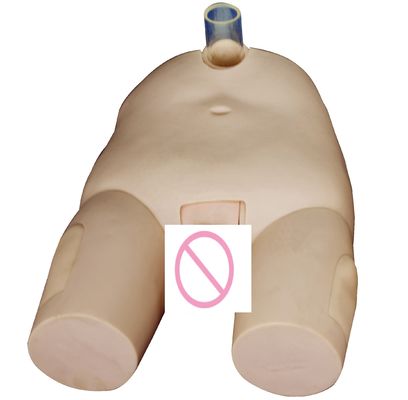 PVC Männlich/Weiblich Blasenbewässerung Training Modell Katheterisierung Fähigkeiten und Punction Operation Simulator
