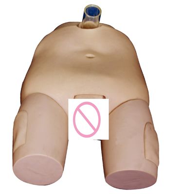 PVC Männlich/Weiblich Blasenbewässerung Training Modell Katheterisierung Fähigkeiten und Punction Operation Simulator