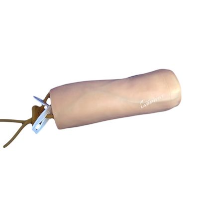 Medizinische Wissenschaft Venipuncture und Bluttransfusion Praxis Modell mit IV Ellbogen Modell