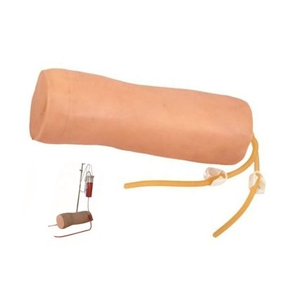 Medizinische Wissenschaft Venipuncture und Bluttransfusion Praxis Modell mit IV Ellbogen Modell