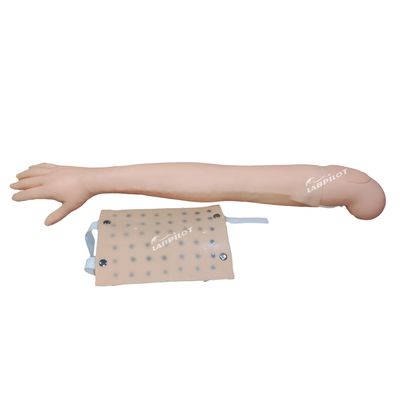 Vollarm-Simulator Klinische Lehre für Intradermale Injektion und Venipuncture Praxis