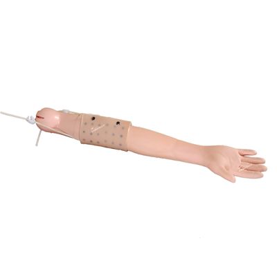 Vollarm-Simulator Klinische Lehre für Intradermale Injektion und Venipuncture Praxis