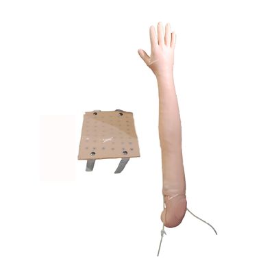 Vollarm-Simulator Klinische Lehre für Intradermale Injektion und Venipuncture Praxis