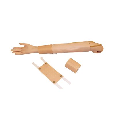 Vollarm-Simulator Klinische Lehre für Intradermale Injektion und Venipuncture Praxis