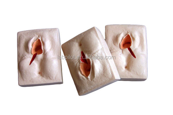 GYN-Fähigkeiten Lehre 3-Set Perineum Suring Simulator und Episiotomie Wunde Suring Modell
