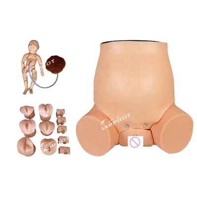 Geburtshilfe-Gynecologie Modell Schwangere Frau Pflege Simulator für Geburtshilfe Ausbildung