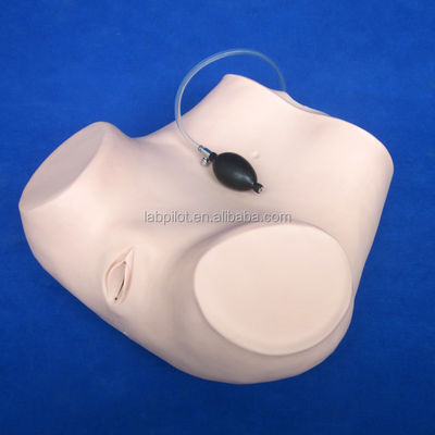 Medizinische Wissenschaft Verschiedene gynäkologische Pflege-Fähigkeiten Training Mannequin Becken- und Vagina-Untersuchungsmodell