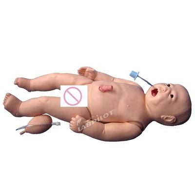 Neugeborenes Baby Umbilical Nursing Venipuncture Intubation und CPR Training mit Manikin