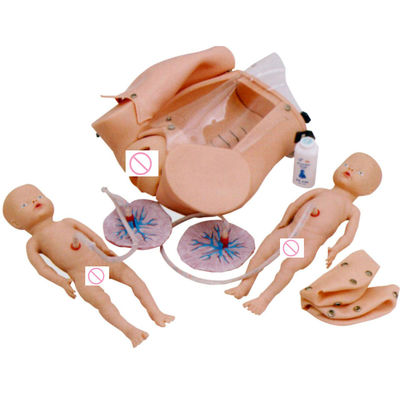 Schwangere Frau Puppen Puppe Babypuppe Hebammen Geburtsschulungsmodell mit Advanced PVC