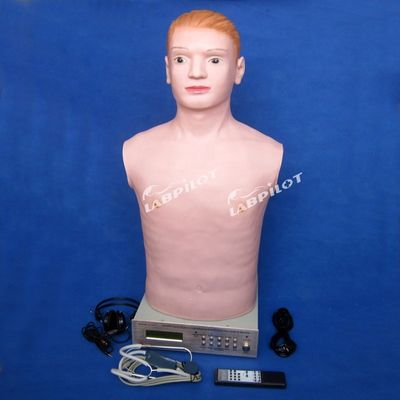 Halbkörper-Mannequin für die körperliche Untersuchung Lehre in Frauen-Kinder-Sonderkrankenhaus