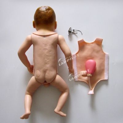 Pediatrische Tracheostomie für Säuglinge Pflege Mannequin Modell für realistische Simulation