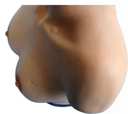 Gynäkologische Fähigkeiten Lehren von Puppen für Brustuntersuchung und Palpationssimulator