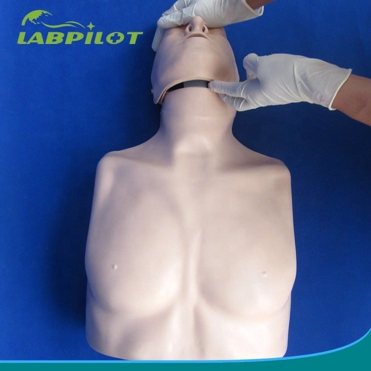 Einfache Art Erste Hilfe Halbkörper CPR-Training-Mannequin für Schulbildungseinrichtung