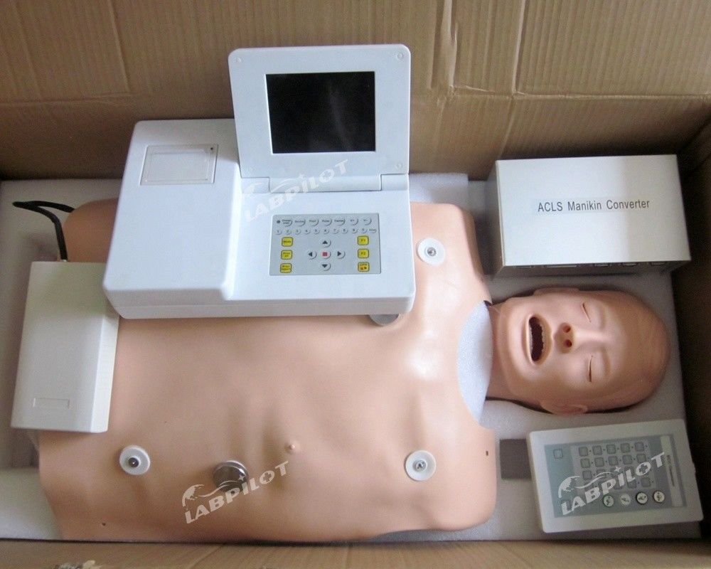 PVC-Mannequin für die medizinische Ausbildung in den Kategorien ACLS und IV-Intubationsmodell