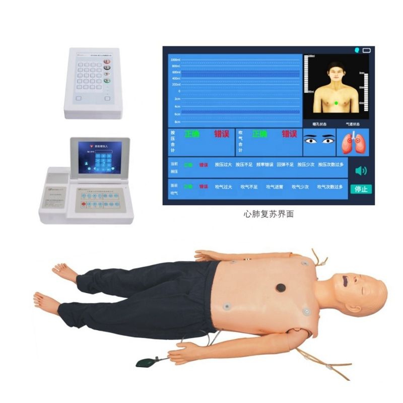 Fortgeschrittene Lebensunterstützungsmannequin für umfassende Notfallfähigkeiten und EKG-Lehrartikel