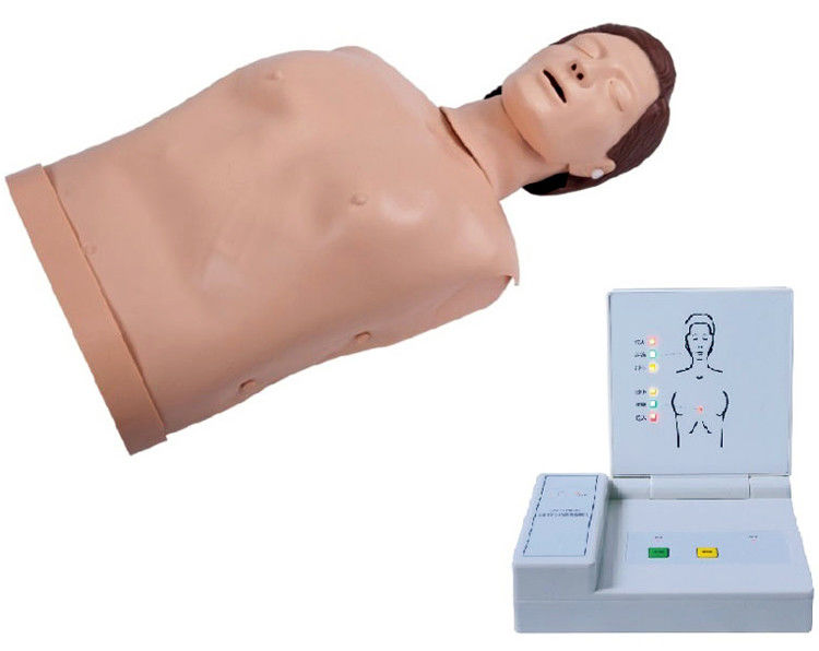 Erweiterte PCV-Computerierte Erwachsenen-CPR-Ausbildung Puppe Notfallunterricht Dummy für Medizinische Wissenschaft