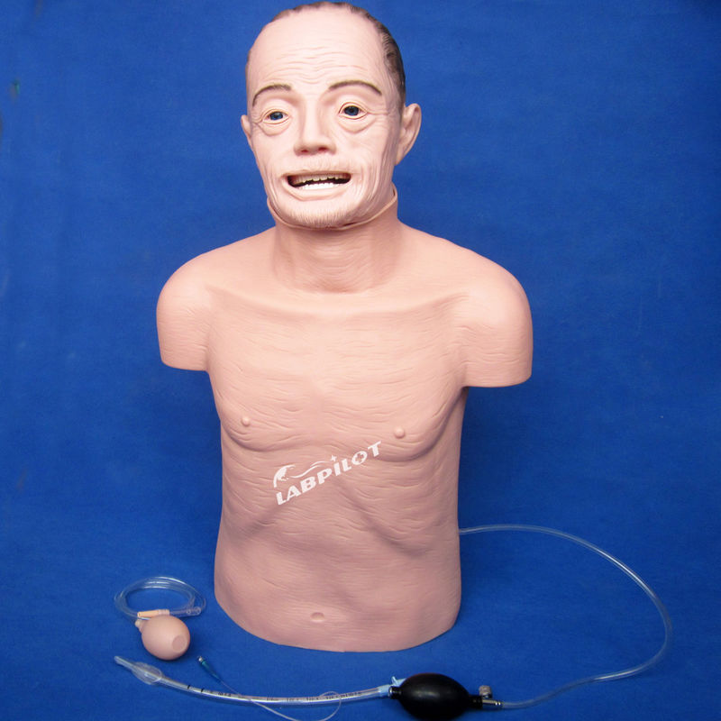 Elektronischer Typ HLZ- und Intubationstrainingsmannequin für ältere Menschen