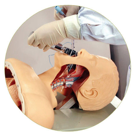 Trachea-Intubation Praxis menschliche Lebensgröße Oral- und Nasen-Intubations-Training-Modell