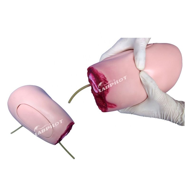 Advanced PVC-Modell Die ideale Lösung für Unterglieder-Trauma-Oberschenkel-Amputation Pflege