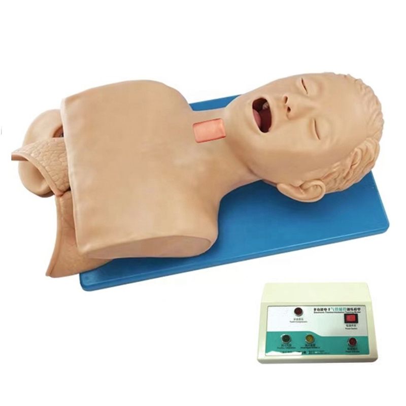 Mehrzweck-Human Simulator für Atemwegsbehandlung und Krikoidpunktion in Krankenhäusern