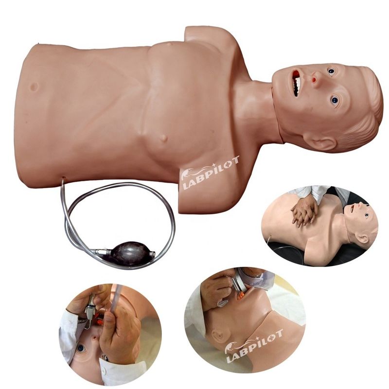 Professionelle menschliche lebensgroße Schaukel für Erwachsene Halbkörper CPR und Intubation Training