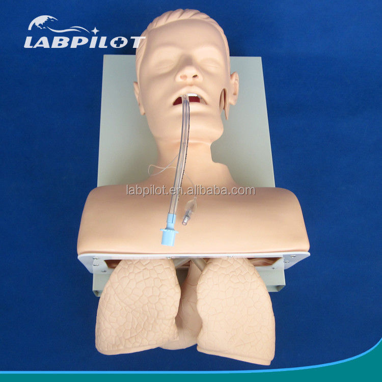 Elektronisches Tracheale Intubation Training Modell mit aufblasbarem Lungen-NG-Rohr und Saugsimulator Ideal