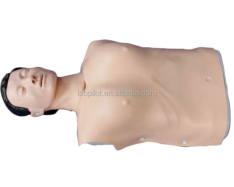Realistische menschliche Simulation Notfall-Fähigkeiten Training Mannequin Männlicher Halbkörper CPR-Dummy