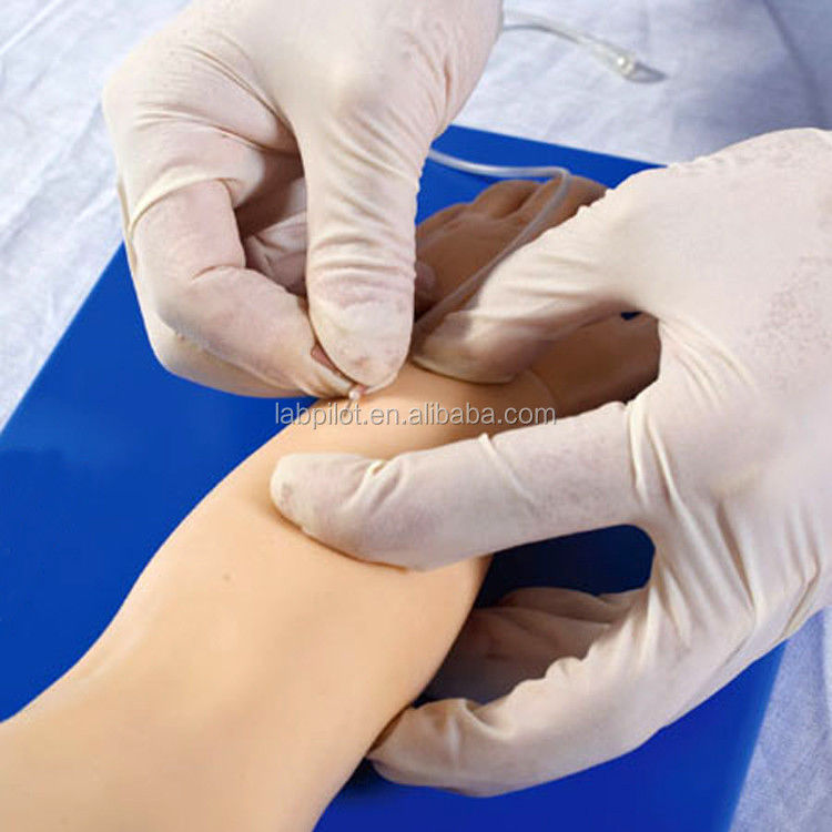 Erweiterte pädiatrische Venipuncture Arm für Patienten Pflege Demonstration menschliche Lebensgröße