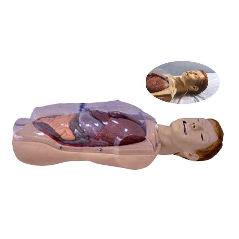 Krankenhaus Klinik Hochschule Krankenschwester Schule Menschenleben Größe Sengstaken-Blakemore NG Tube Krankenschwester Ausbildung Simulator