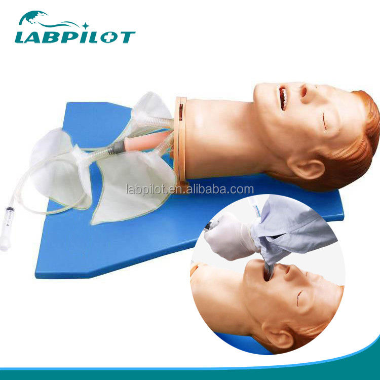 Intubations-Training-Simulator umfassendes Modell der Atemwege mit menschlicher Lebensgröße