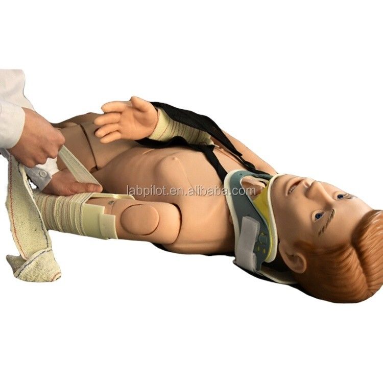 Medizinische Lehre Mannequin für die äußere Fixierung Ausbildung in Erste Hilfe bei Gliedmaßenfrakturen