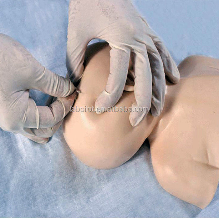 Neugeborenes Kopfhaut-Venipuncture-Training-Modell Der Vorteil des menschlichen Lebensgrößen-Designs