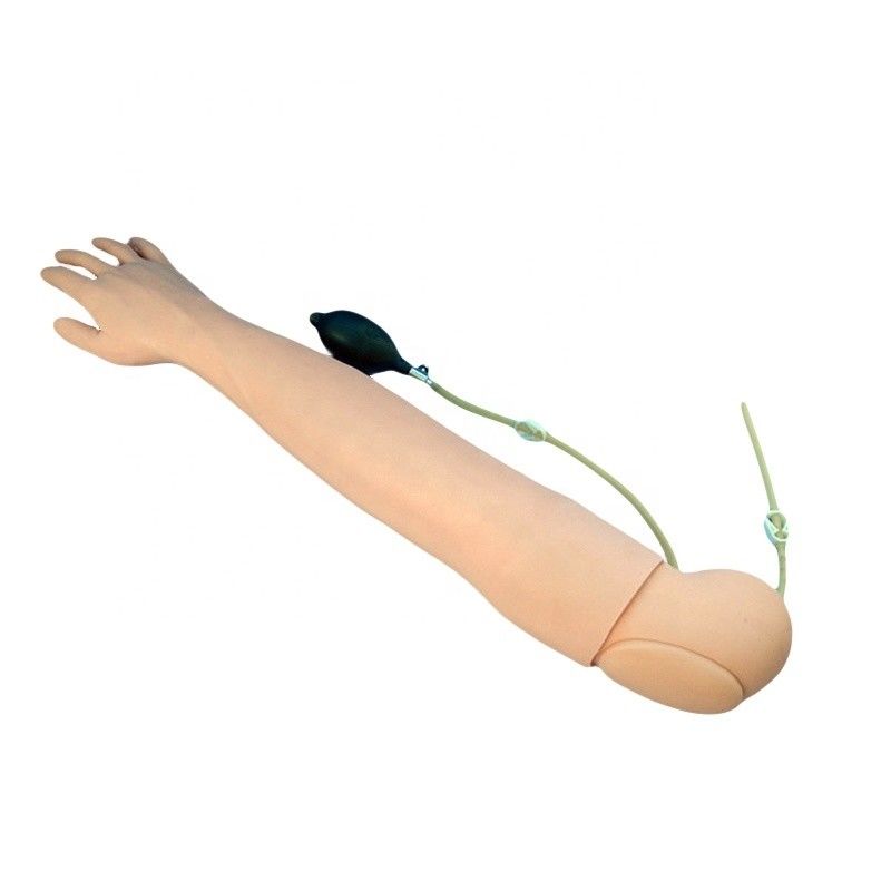 Medizinische Lehre Simulator menschliche Lebensgröße Arm für Blutentnahme und Infusionspraxis