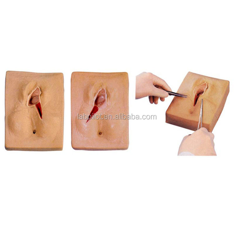 GYN-Fähigkeiten Lehre 3-Set Perineum Suring Simulator und Episiotomie Wunde Suring Modell