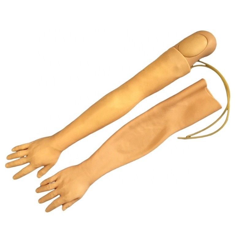 Vivium-Arm-Modell für IV-Injektionsschulung Multifunktionsmodell für klinische Krankenpflege