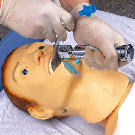 Medizinische Lehre Simulatoren Krankenpflege Ausbildung Manikin für NG-Rohrzufuhr und Intubation