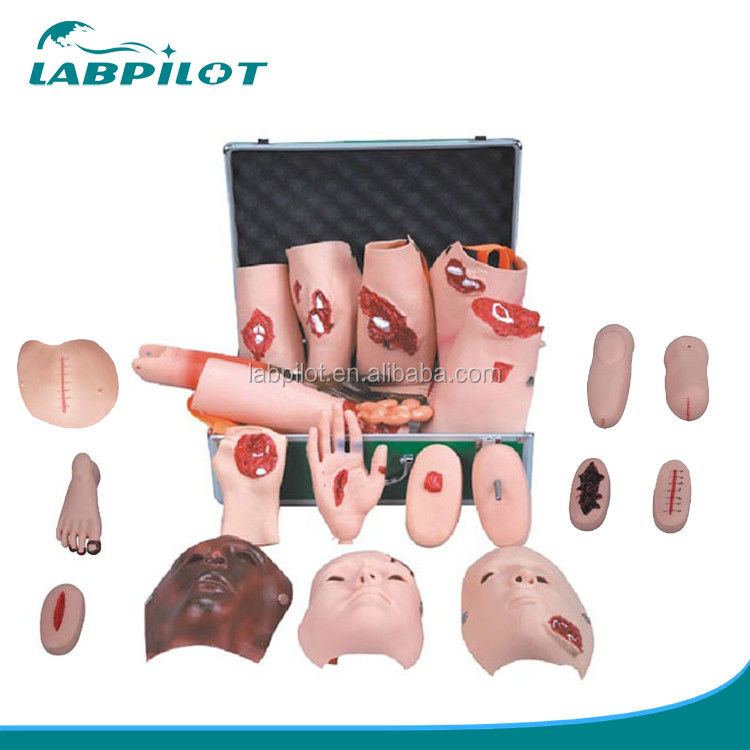 Erweiterte PVC-Manikine Die ultimative Lösung für lebhafte Wund-Simulation und Trauma-Pflege