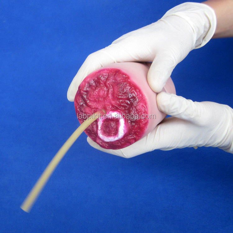 Erweitertes Modell für die medizinische Wissenschaft von PVC-Oberbein-Trauma-Hämorrhagie und amputiertem Arm