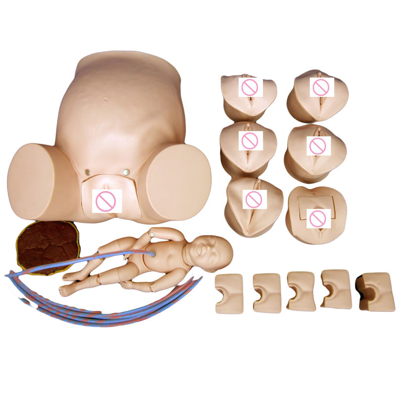 Erweiterte PVC-Geburtsmannequin-Kategorien für Schwangere