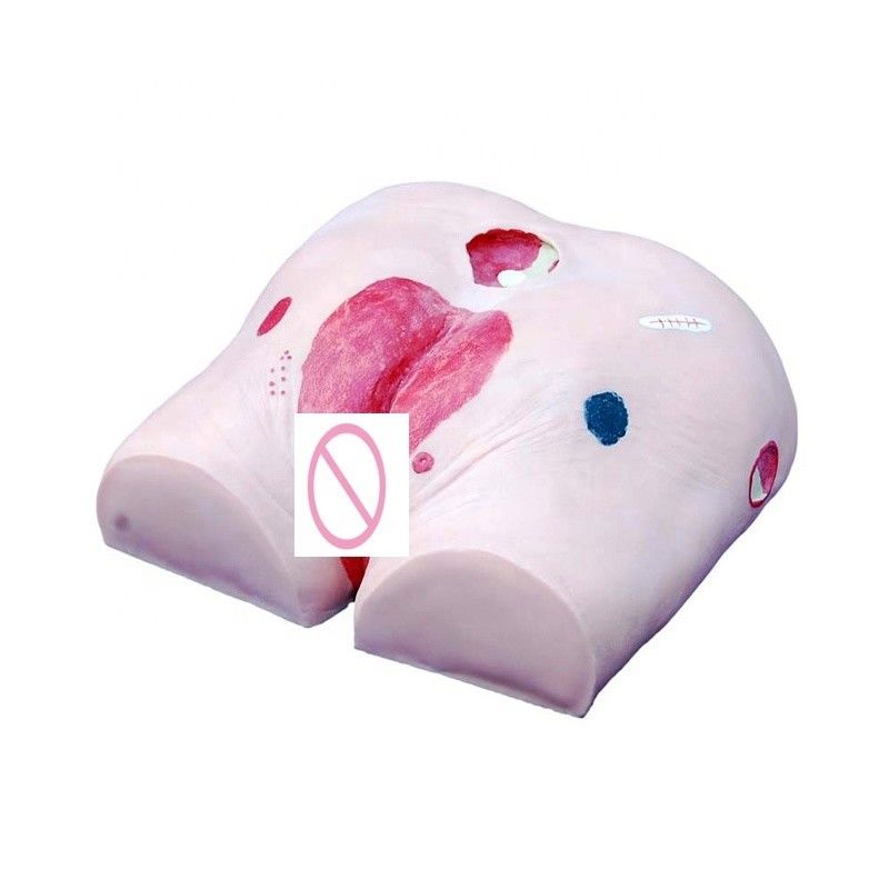 Human Model Decubitus Ulcer Care Training Simulator für Kategorien in der Medizin