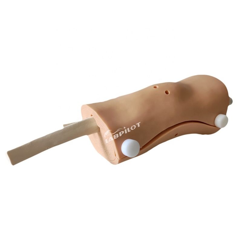 Arthroskopie Modell Knie Gelenk Medizinische Lehre Demonstration Simulator