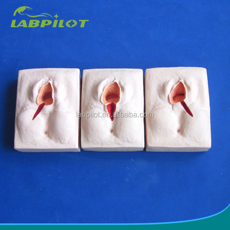 Erweiterter PVC-Epiziorrhaphie-Training-Simulator für realistische Vulva-Suring-Techniken